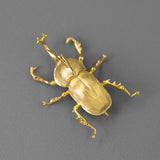 Scarab Brooch<br> Gold Nature