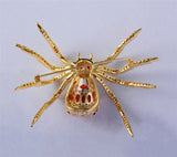 Spider Brooch<br> Shiny