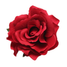 Broche Cheveux Fleur