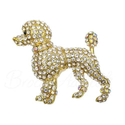 Broche chien flamboyant