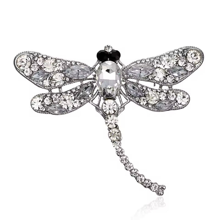Broche Libellule Hiver Argenté