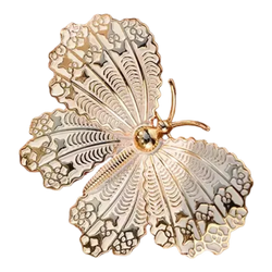 Broche Papillon Picture Perfect