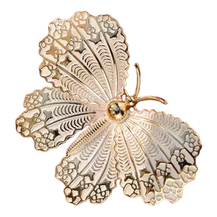 Broche Papillon Picture Perfect