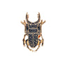 Broche Scarabée Egyptien