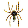 broche araignee tendance verte