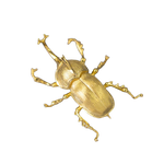 broche scarabée or