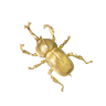 broche scarabée or