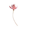 broche fleur rose péché mignon